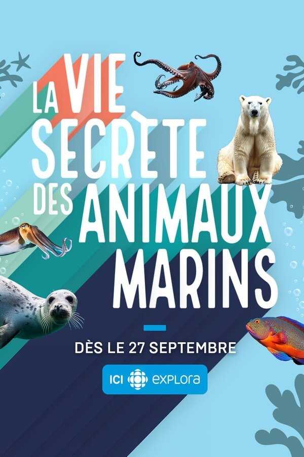 QFR - La vie secrète des animaux marins (2024) (CA) 14