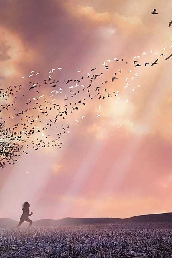 In meinem Himmel (2009) 0