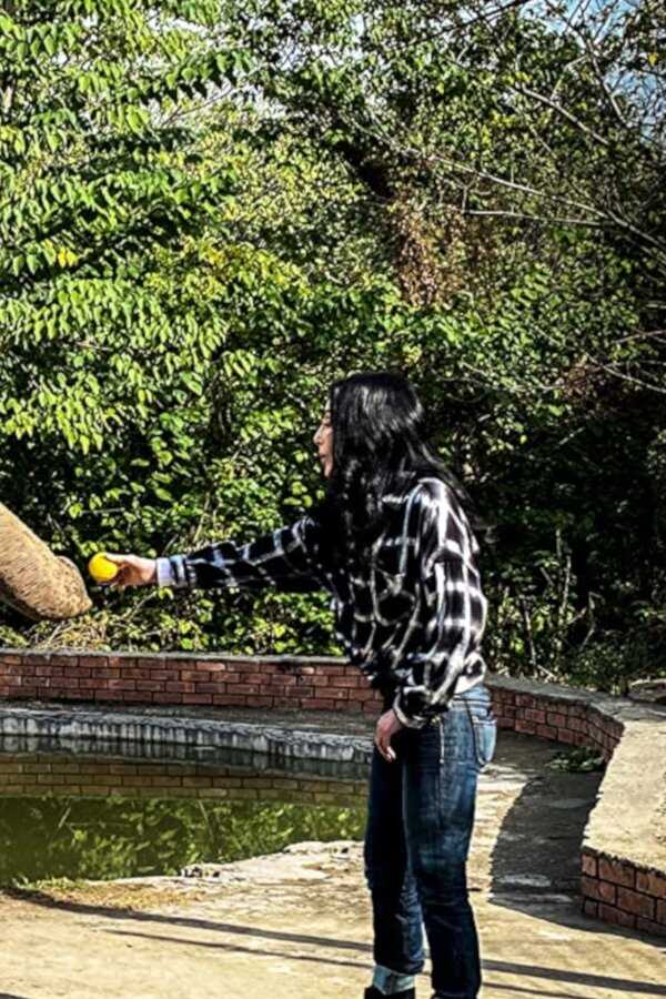 Cher & the Loneliest Elephant (2021) 0