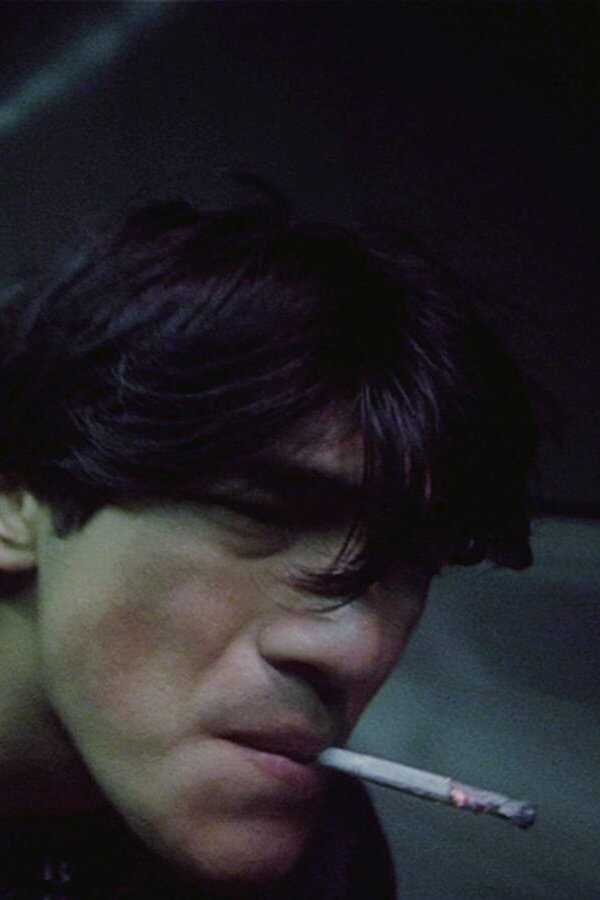 Fallen Angels (1995) 0
