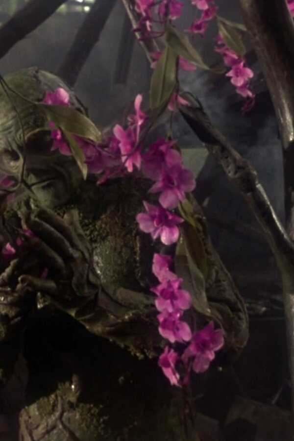 Swamp Thing (1982) 0