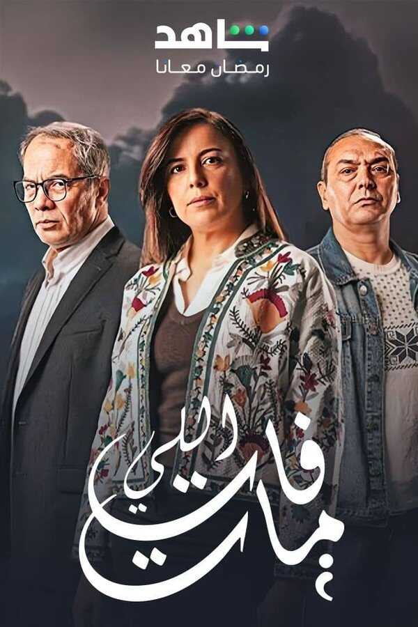 AR - مسلسل اللي فات مات 14