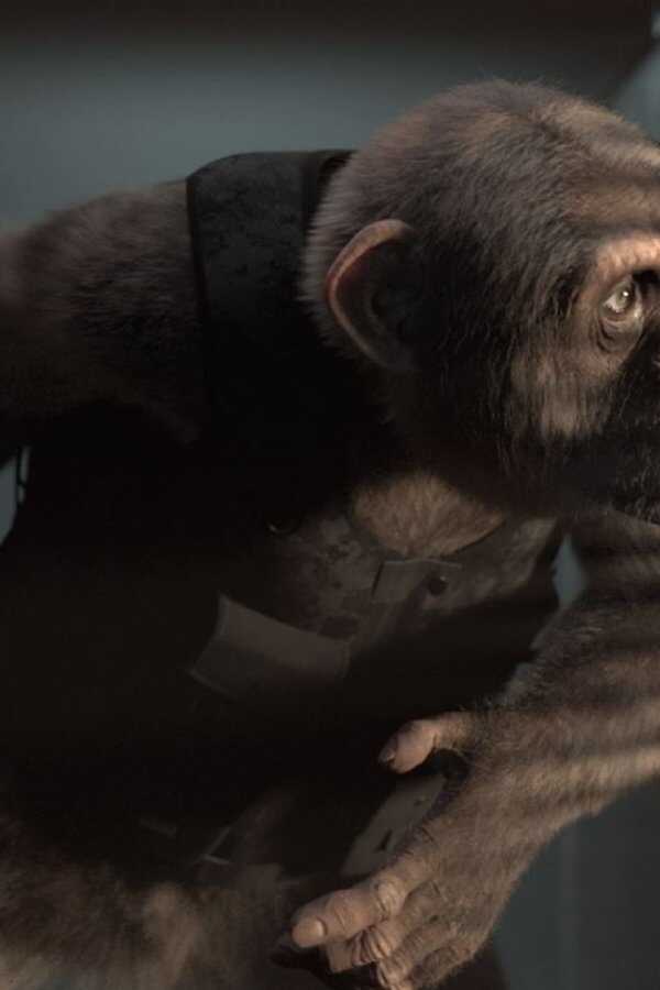 C.I.Ape (2022) 0