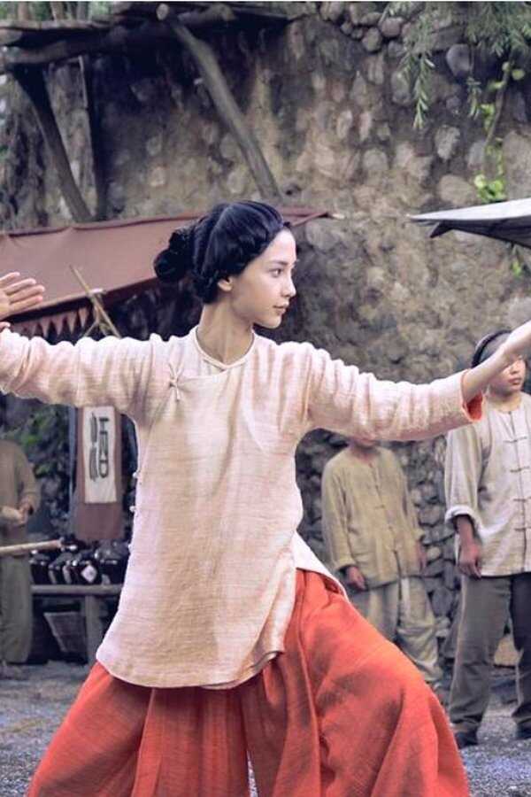 Tai Chi Zero (2012) 0