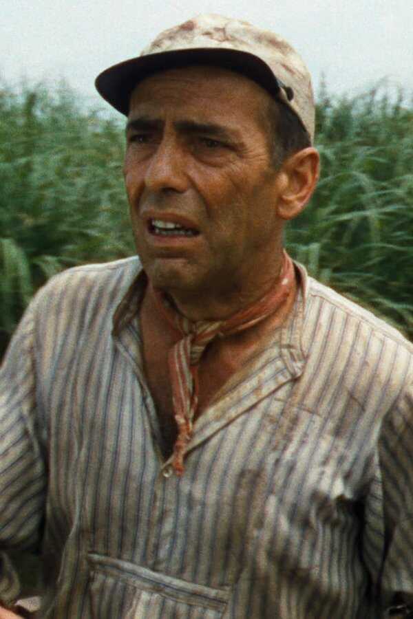The African Queen (1952) 0