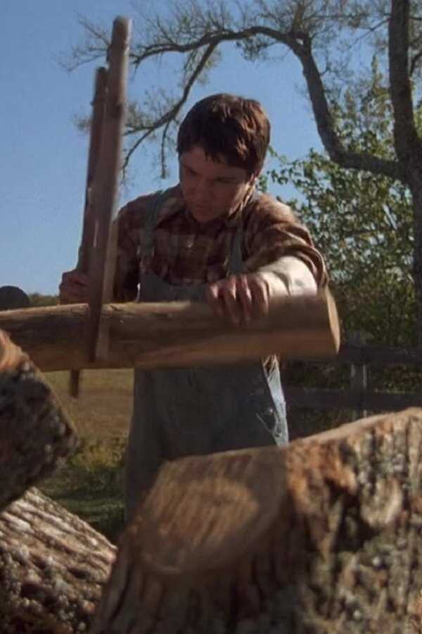 Where the Red Fern Grows (2003) 0