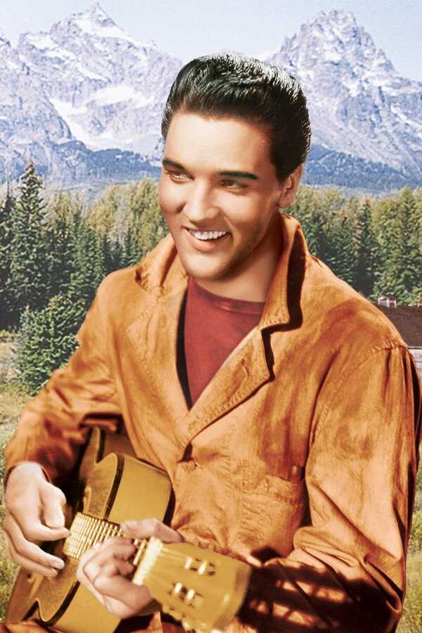 Wild in the Country (1961) 0