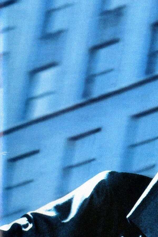 Hudson Hawk - Der Meisterdieb (1991) 0