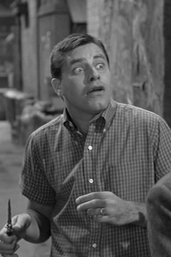 The Delicate Delinquent (1957) 0