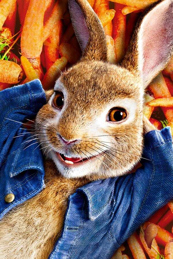Peter Hase (2018) 0