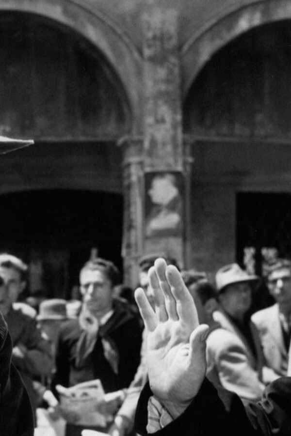 La Grande Bagarre de Don Camillo (1955) 0