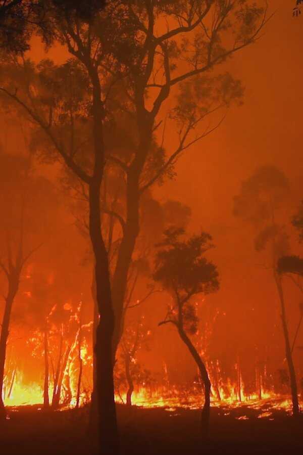 Burning (2021) 0