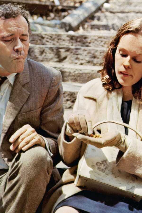 The Out-of-Towners (1970) 0