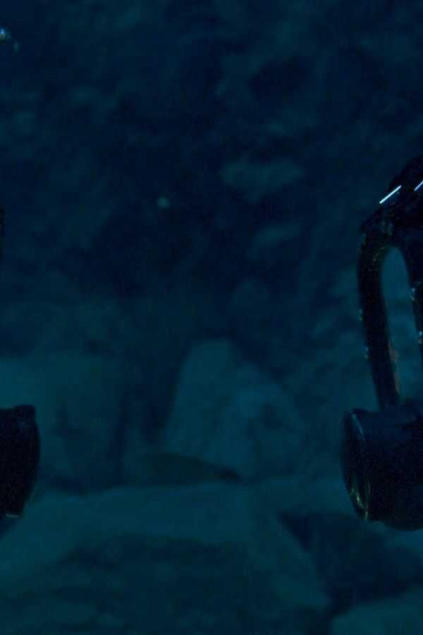 The Dive (2023) 0