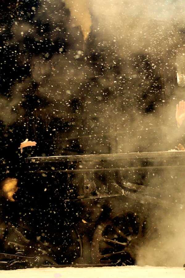 The Grandmaster (2013) 0
