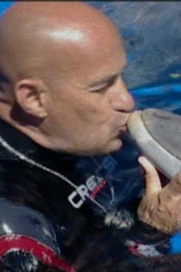 ¿Qué le pasó al rey de los delfines? (2022) 0