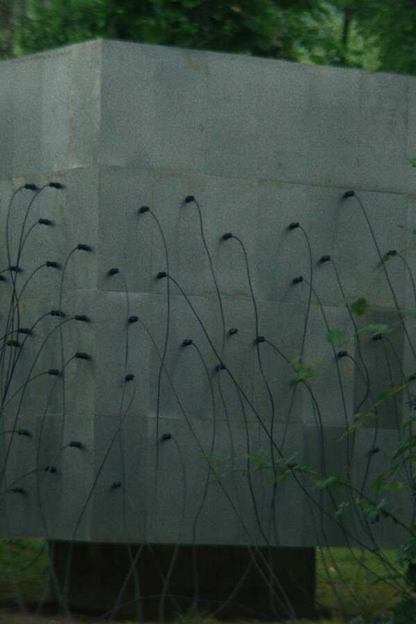 Lapsis (2021) 0