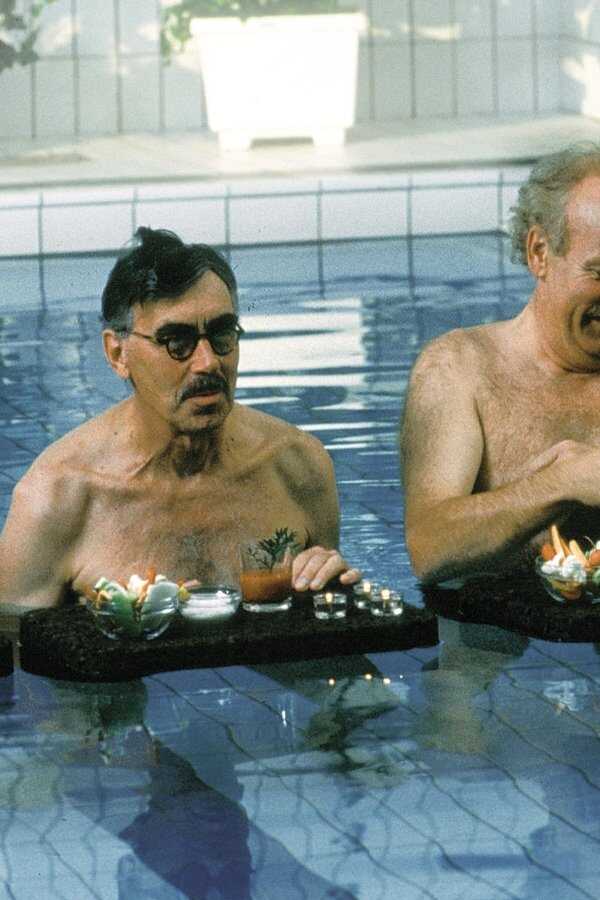 Hälsoresan - En smal film av stor vikt (1999) 0