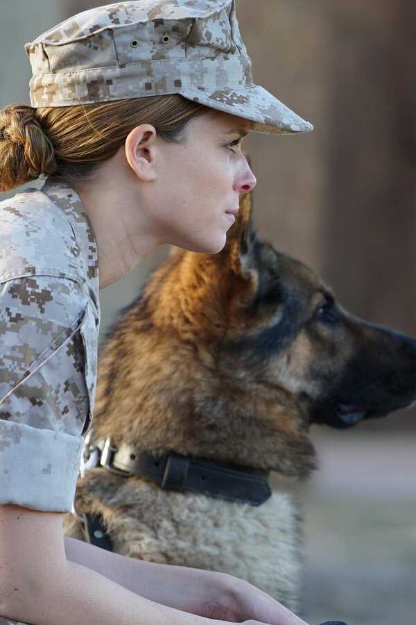 Megan Leavey (2017) 0