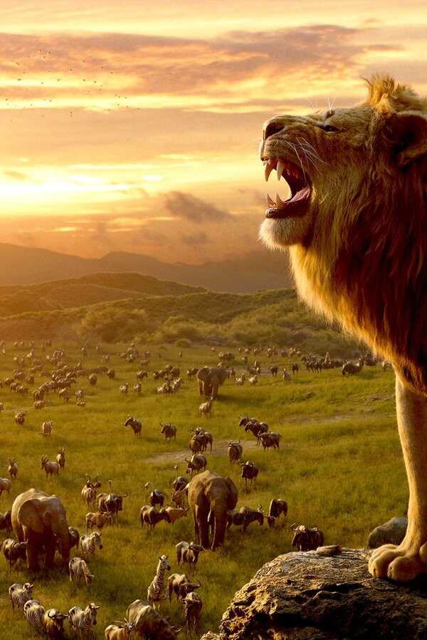 Le Roi Lion (2019) 0