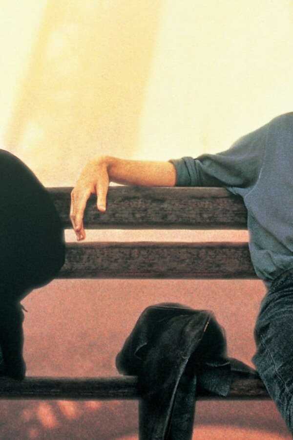 French Kiss (1995) 0