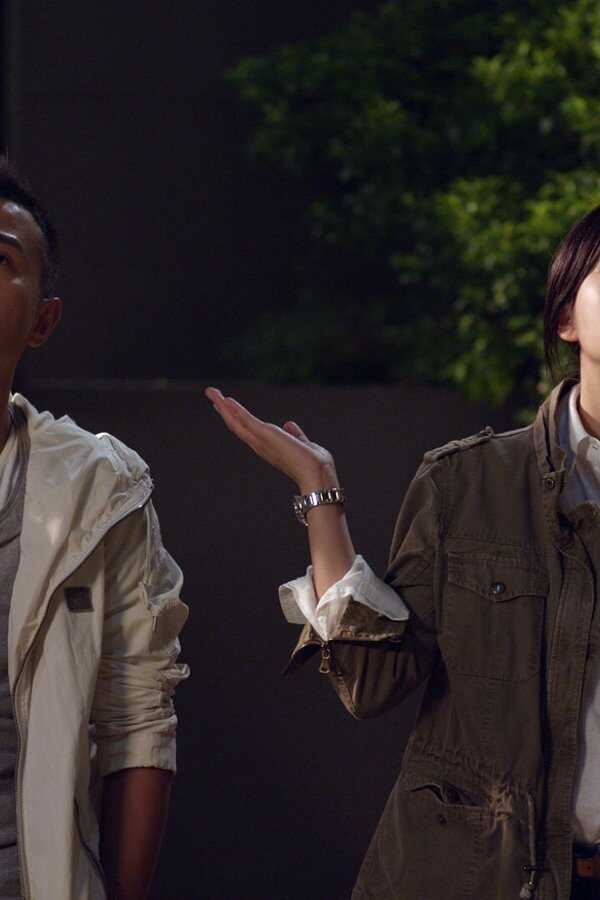 Badges of Fury (2013) 0