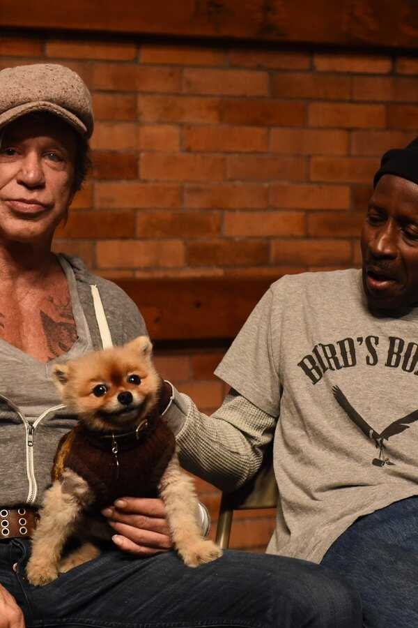 Tiger (2018) 0