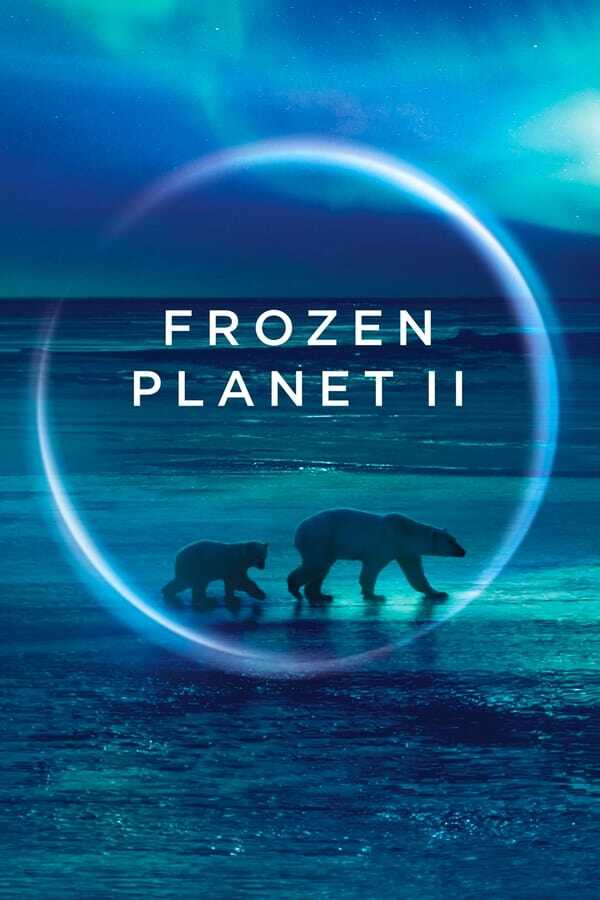 AR - Frozen Planet II  (2022) 14
