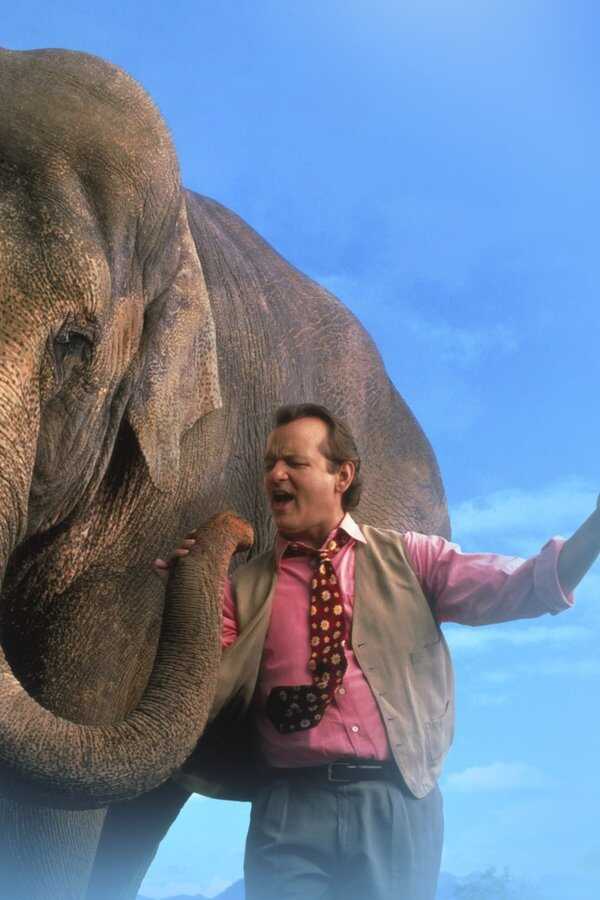 Larger Than Life (1996) 0