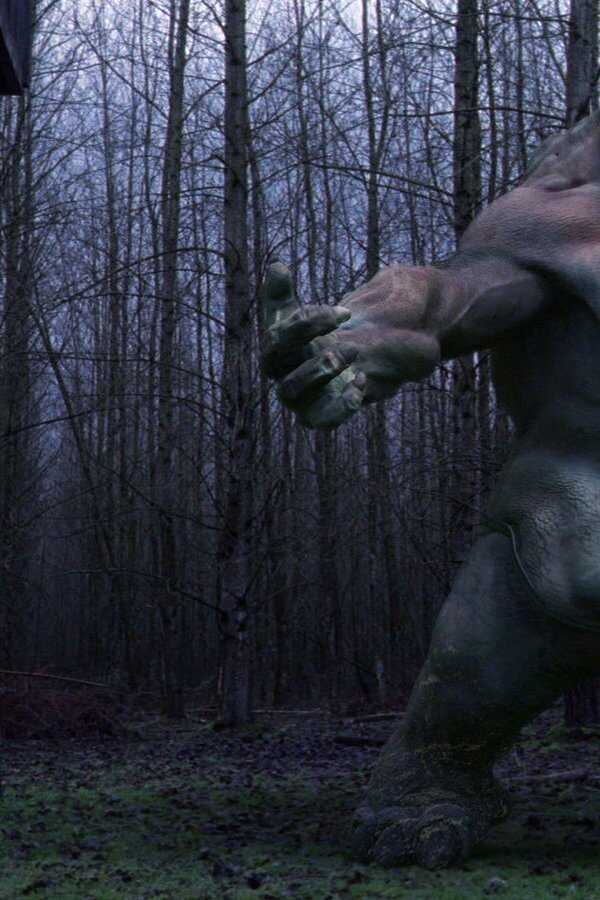 Ogre (2008) 0