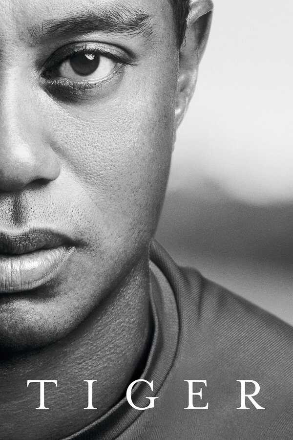 DE - Tiger (2021) 14