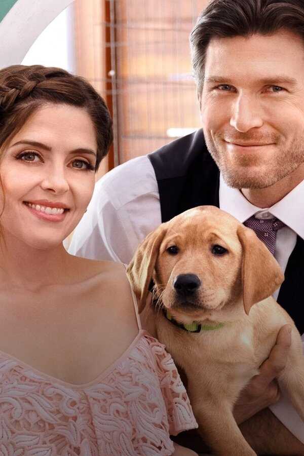 Liebe mit Herz und Hund (2019) 0