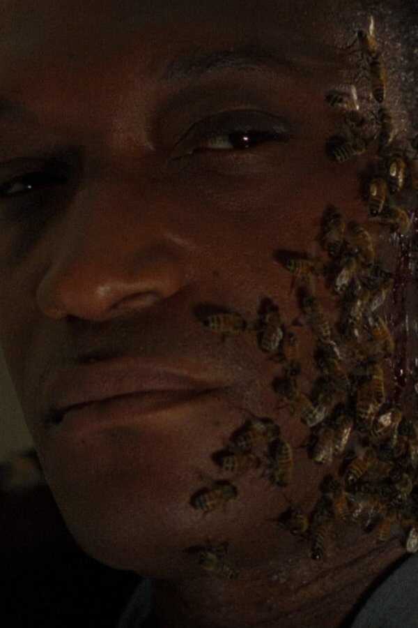 Candyman 3 - Der Tag der Toten (1999) 0
