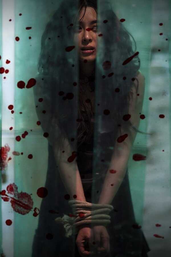 I Saw The Devil (2010) 0