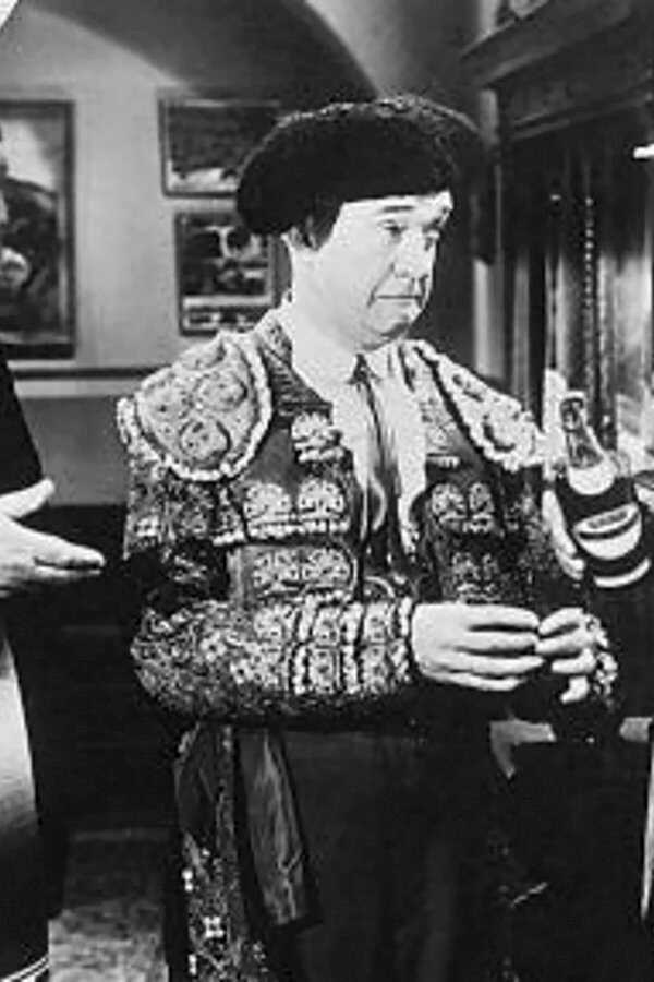 The Bullfighters (1945) 0
