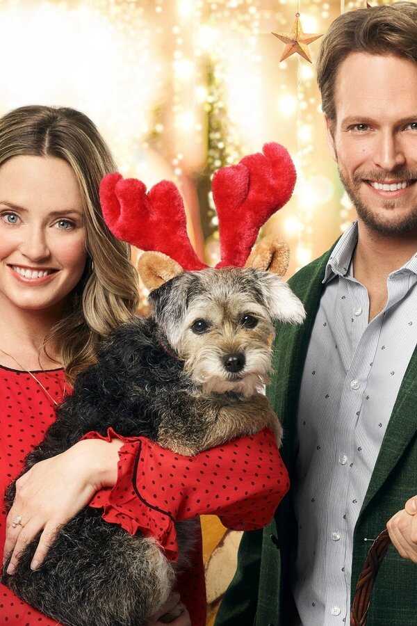 Eine Weihnachtsliebe zum Festhalten (2019) 0