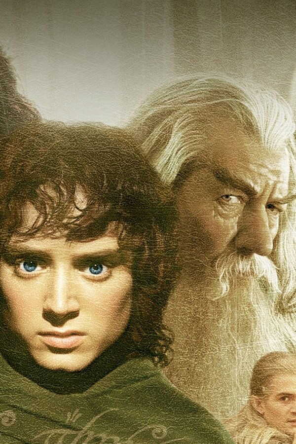 The Lord of the Rings: The Fellowship of the Ring (2001) 0