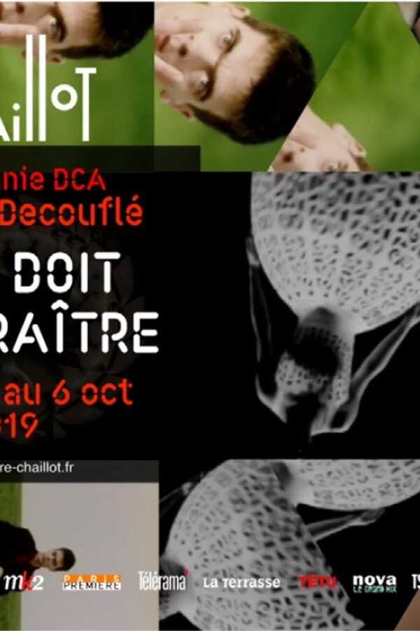 Tout doit disparaitre (2022) 0