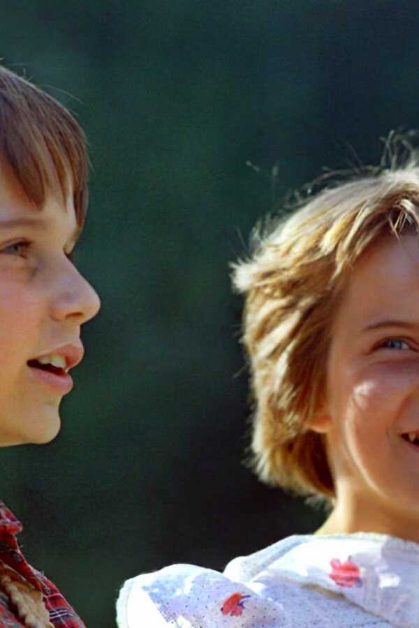 Dziewczyna i chłopak (1980) 0