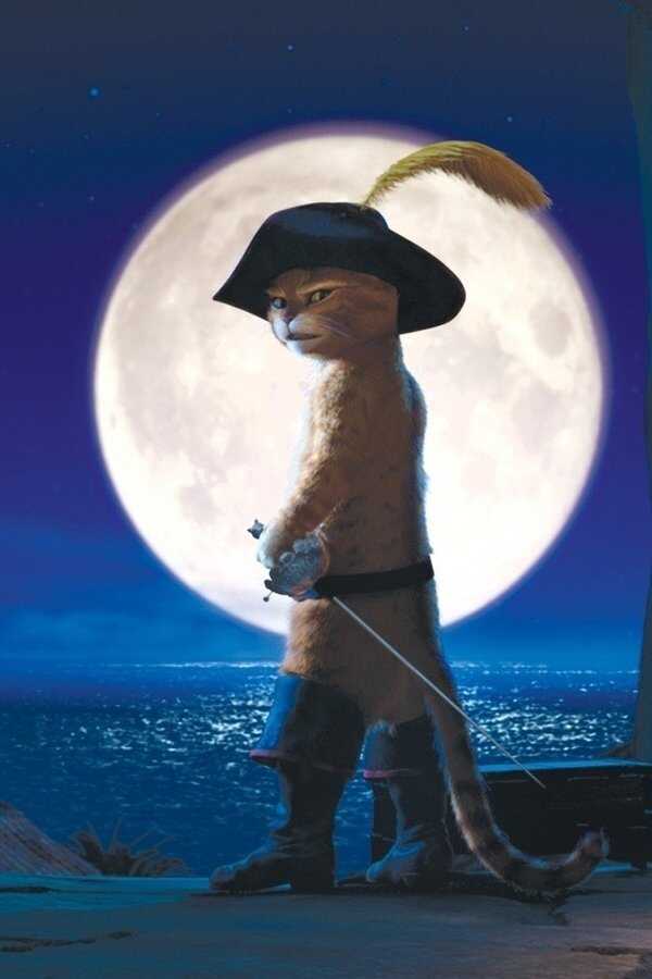 Der gestiefelte Kater (2011) 0