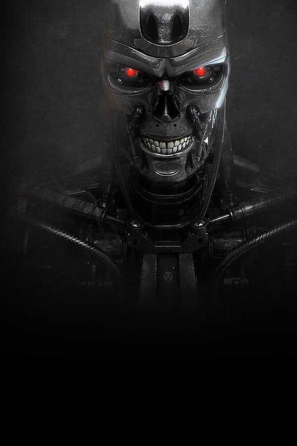 Terminator 3: La rebelión de las máquinas (2003) 0