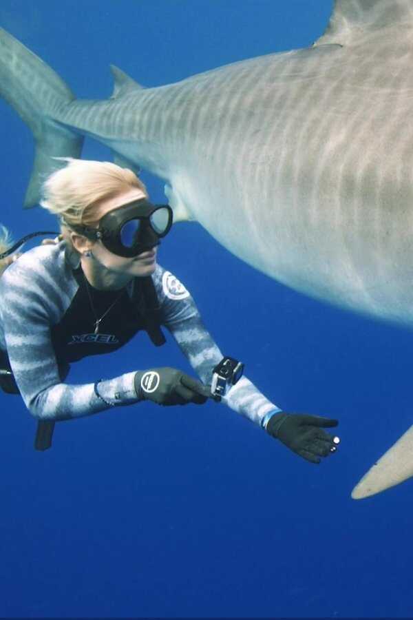 Saving Jaws (2019) 0