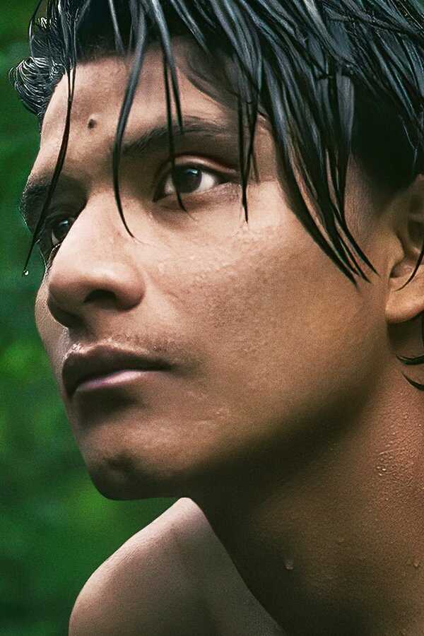 The Territory (2022) 0