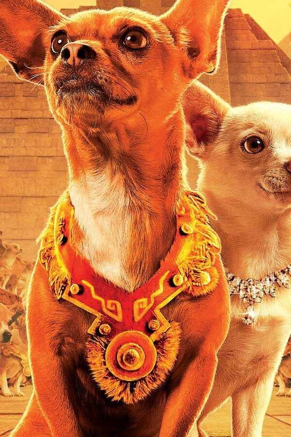 Beverly Hills Chihuahua 0