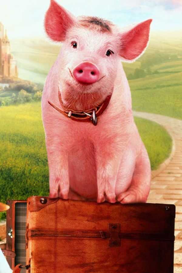 Schweinchen Babe in der großen Stadt (1998) 0