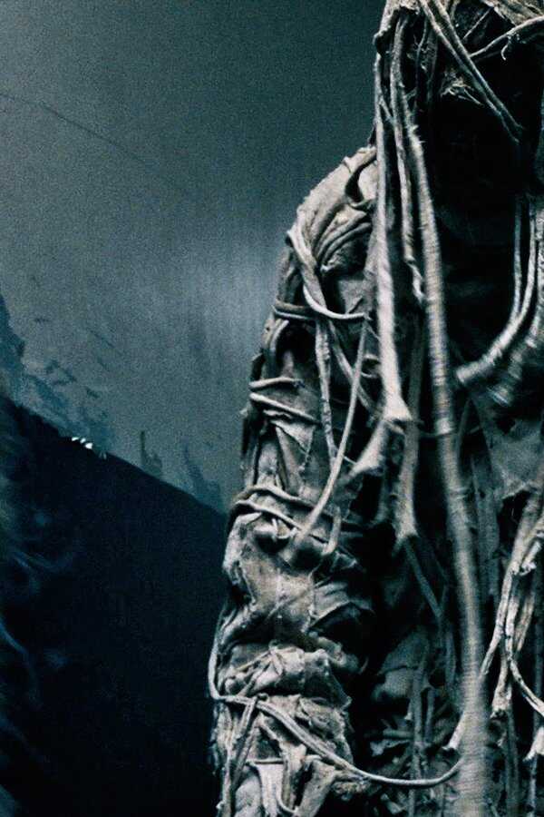 Rise of the Mummy (2021) 0