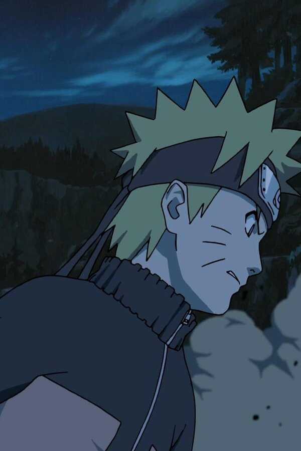 劇場版 NARUTO -ナルト- 疾風伝 (2007) 0