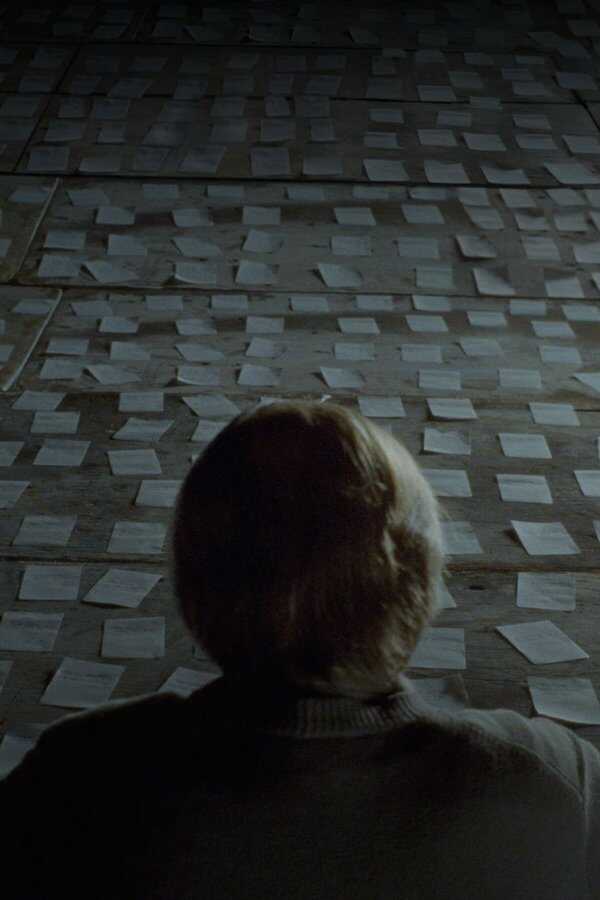 Synecdoche, New York (2008) 0