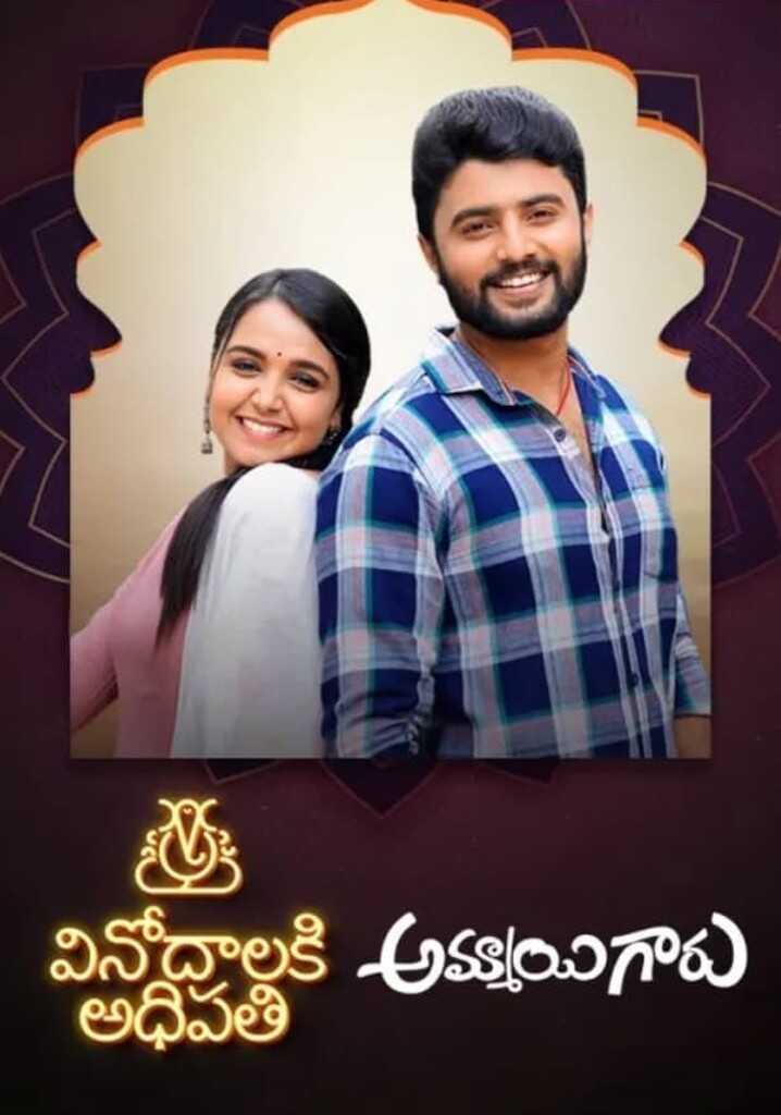 IN - Ammayi Garu 14