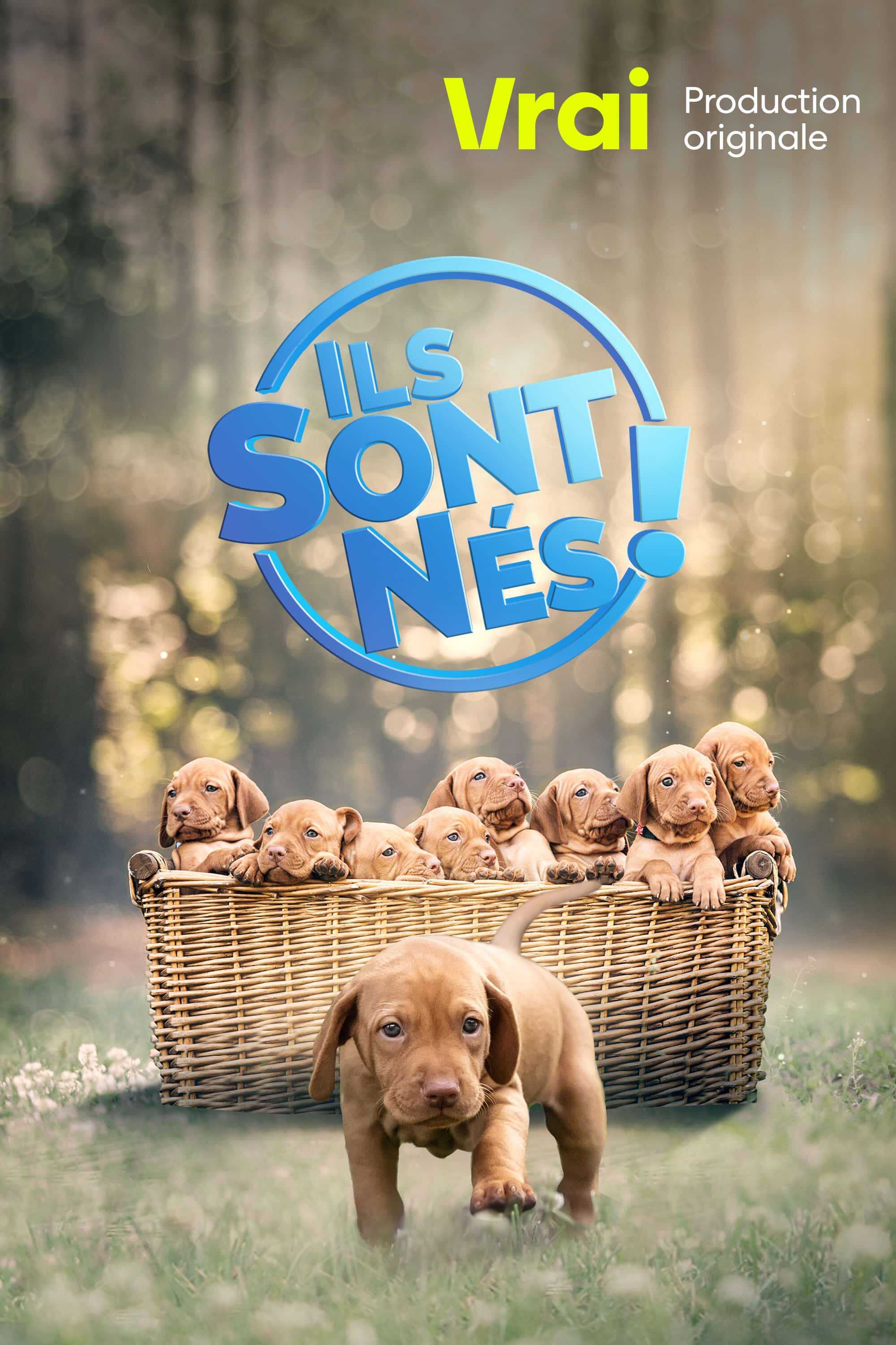 QFR - Ils sont nés! 14